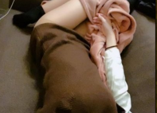 なぎさ