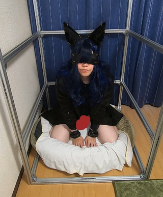 ねこ