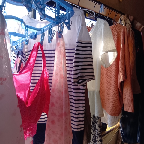 なぎさ